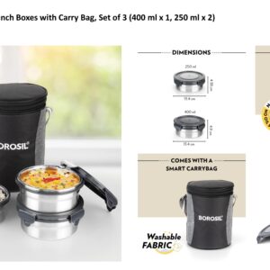 Borosil Stainless Steel Lunch Boxes with Carry Bag, Set of 3 (400 ml x 1, 250 ml x 2)